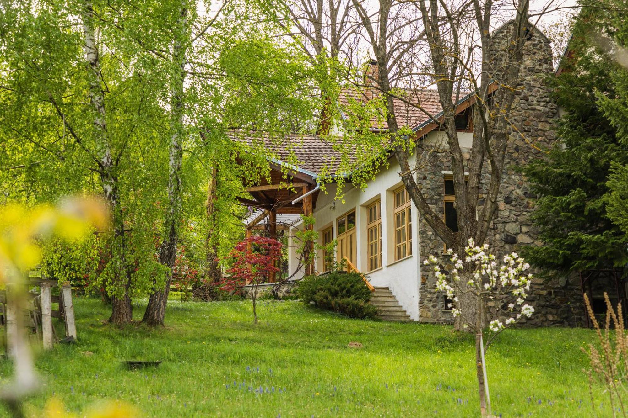 בראן Villa Alba By Akasha Retreat מראה חיצוני תמונה